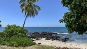 A beach with a palm tree, rocky shoreline, and clear blue sky.
