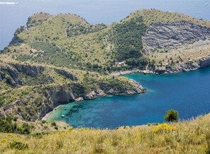 Experience the serene beauty of the rugged coastline with its rolling hills and crystal-clear waters.