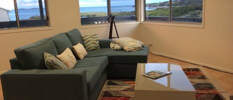 Smart TV, DVD player, books