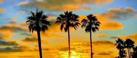 Accommodatie ligt op het strand