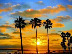A sunset with palm trees silhouetted against the sky. - 209A Beach Living at its Best (Oceanside)