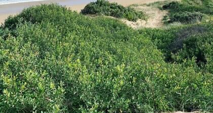 New House with Amazing Views