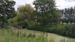 Unclassified image, 4 of 31, button