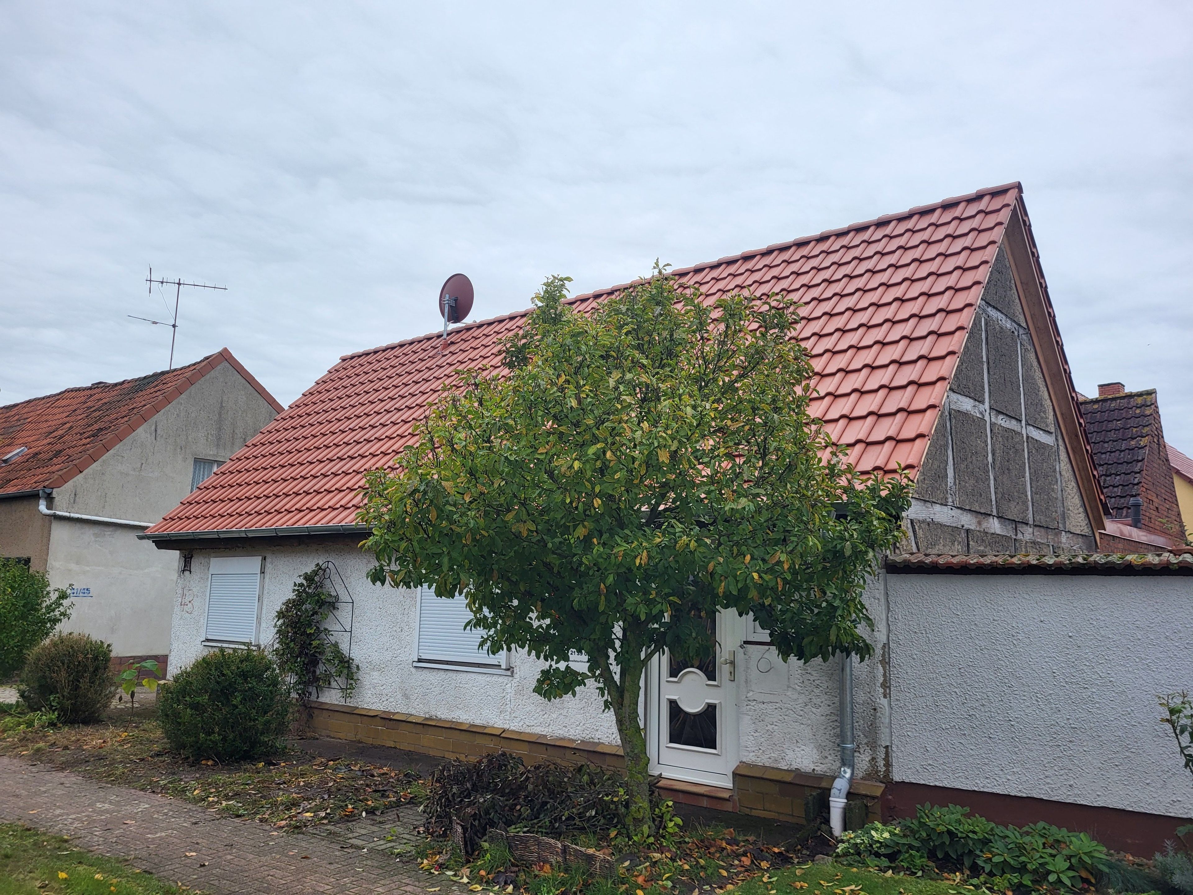 Eksteriør