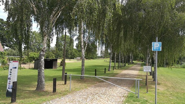 Unclassified image, 1 of 31, button