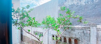 Hip's House Homestay - Hostel