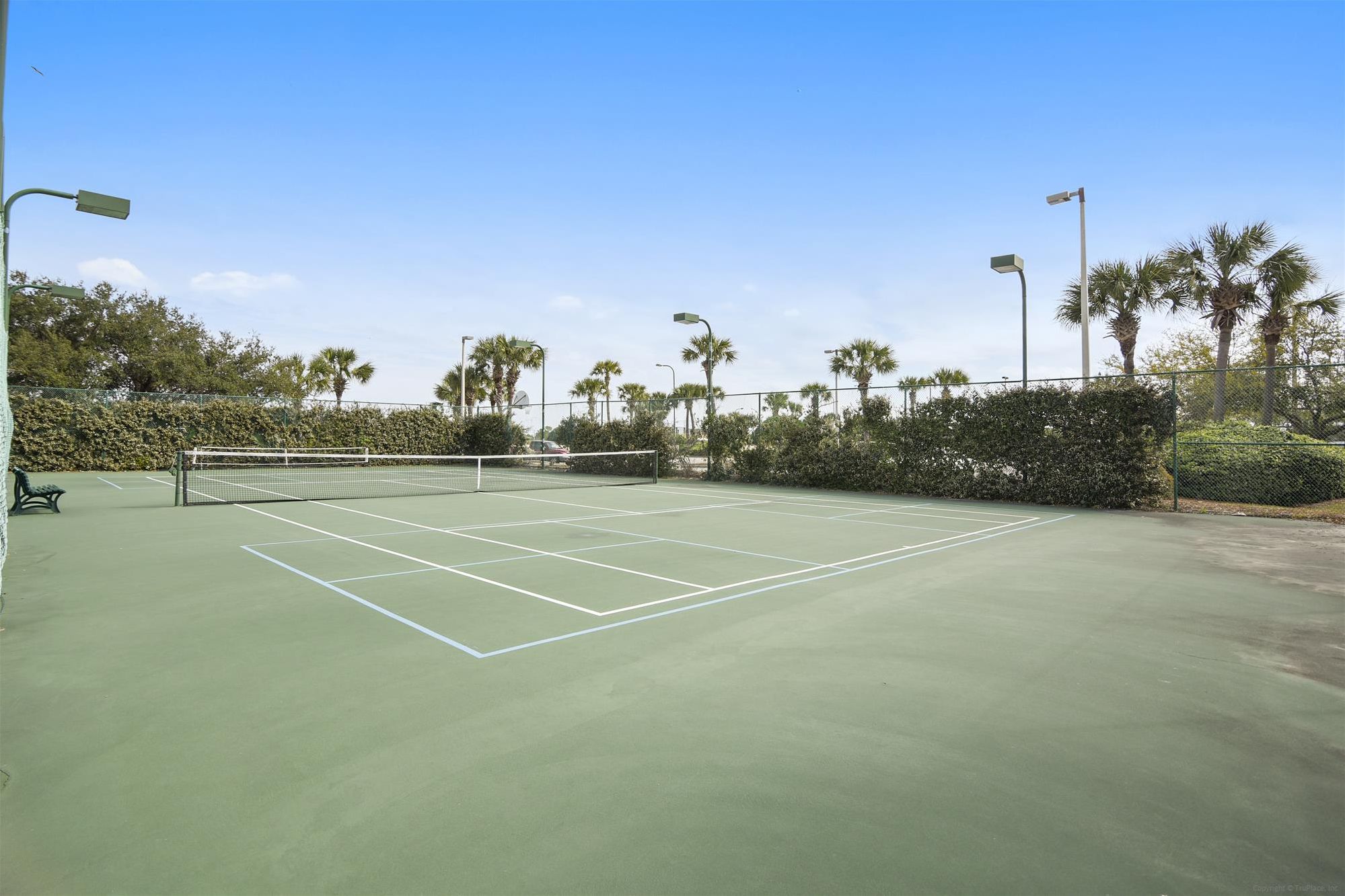 Cancha de tenis con red, rodeada de palmeras y una valla.