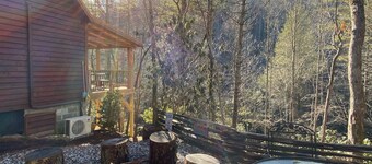 “Up The Creek” Cabin