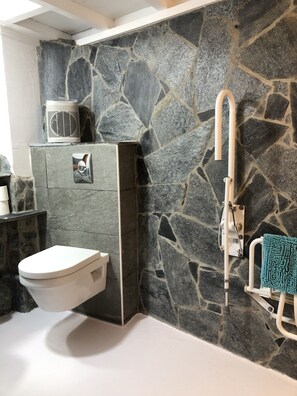 Shower, hair dryer, toilet paper