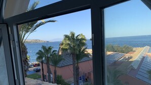 Blick aus einem Fenster auf eine Küstenlandschaft mit Palmen, ein Gebäude mit Solaranlage und einem strahlend blauen Himmel.