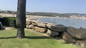 Ein Strand mit einer Palme, Felsen und freiem Blick auf das Meer.