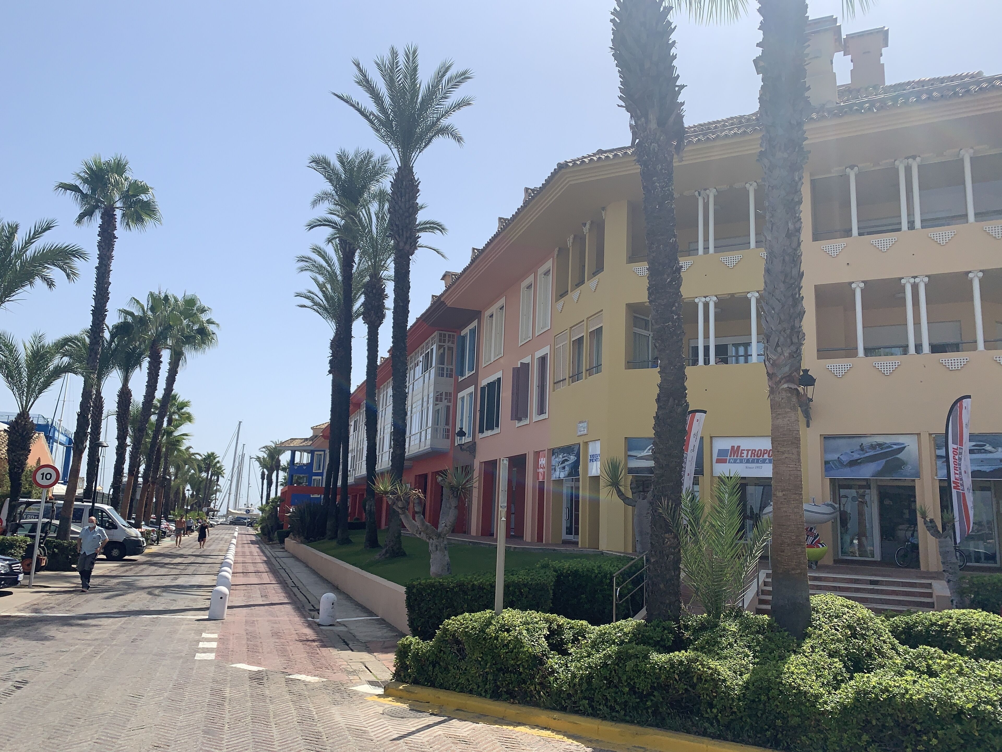 Calle bordeada de palmeras y edificios de varios pisos con comercios.