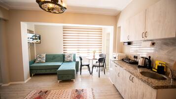 Family Studio Suite | View from room