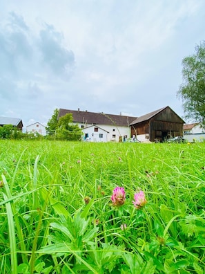 Property grounds - Bauernhaus am Sallingbach (Rohr in Niederbayern)