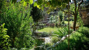 Ein Garten mit verschiedenen Pflanzen und einem Metallzaun.