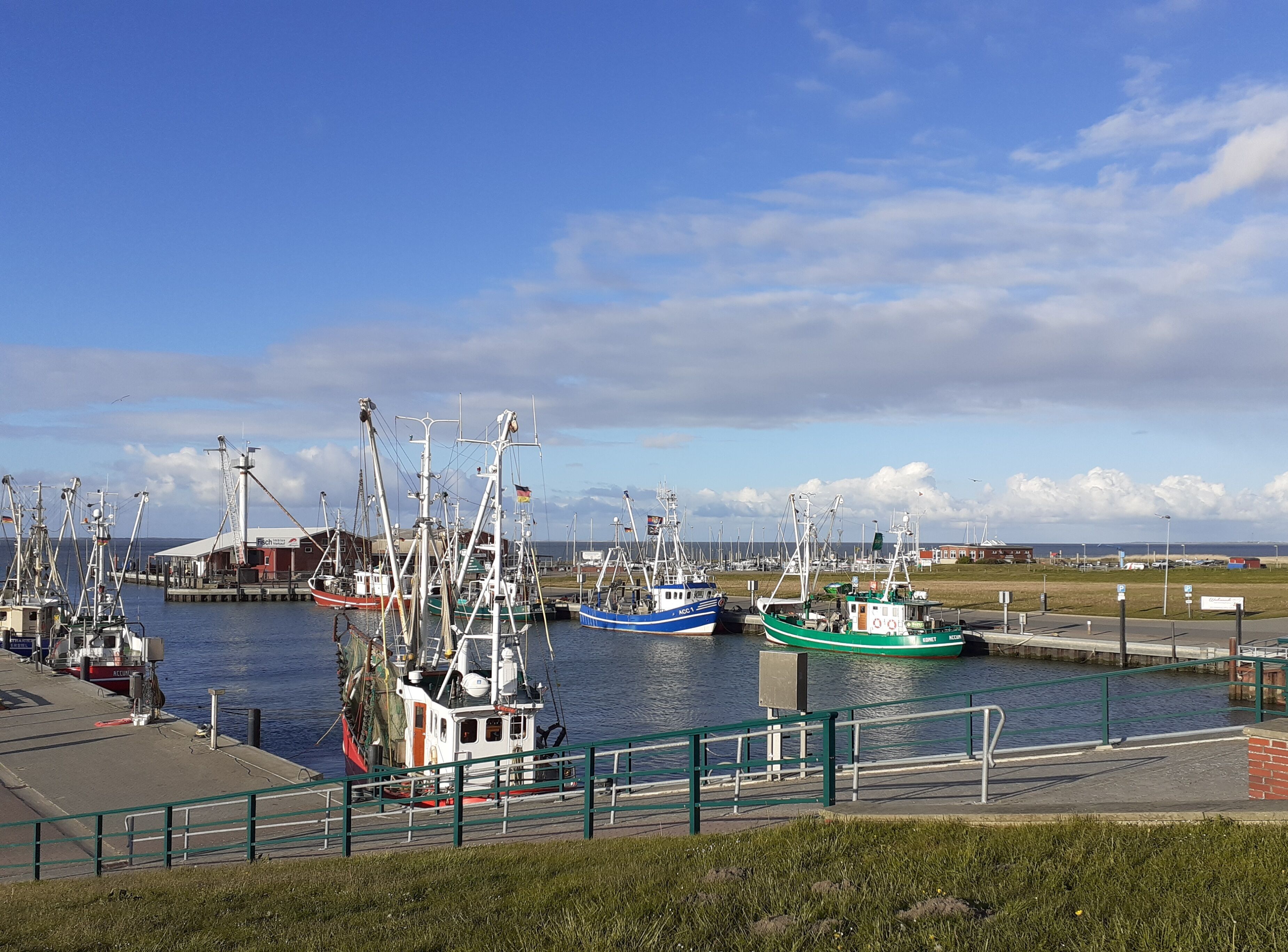 Port de plaisance
