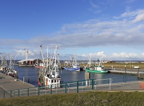 Jachthaven