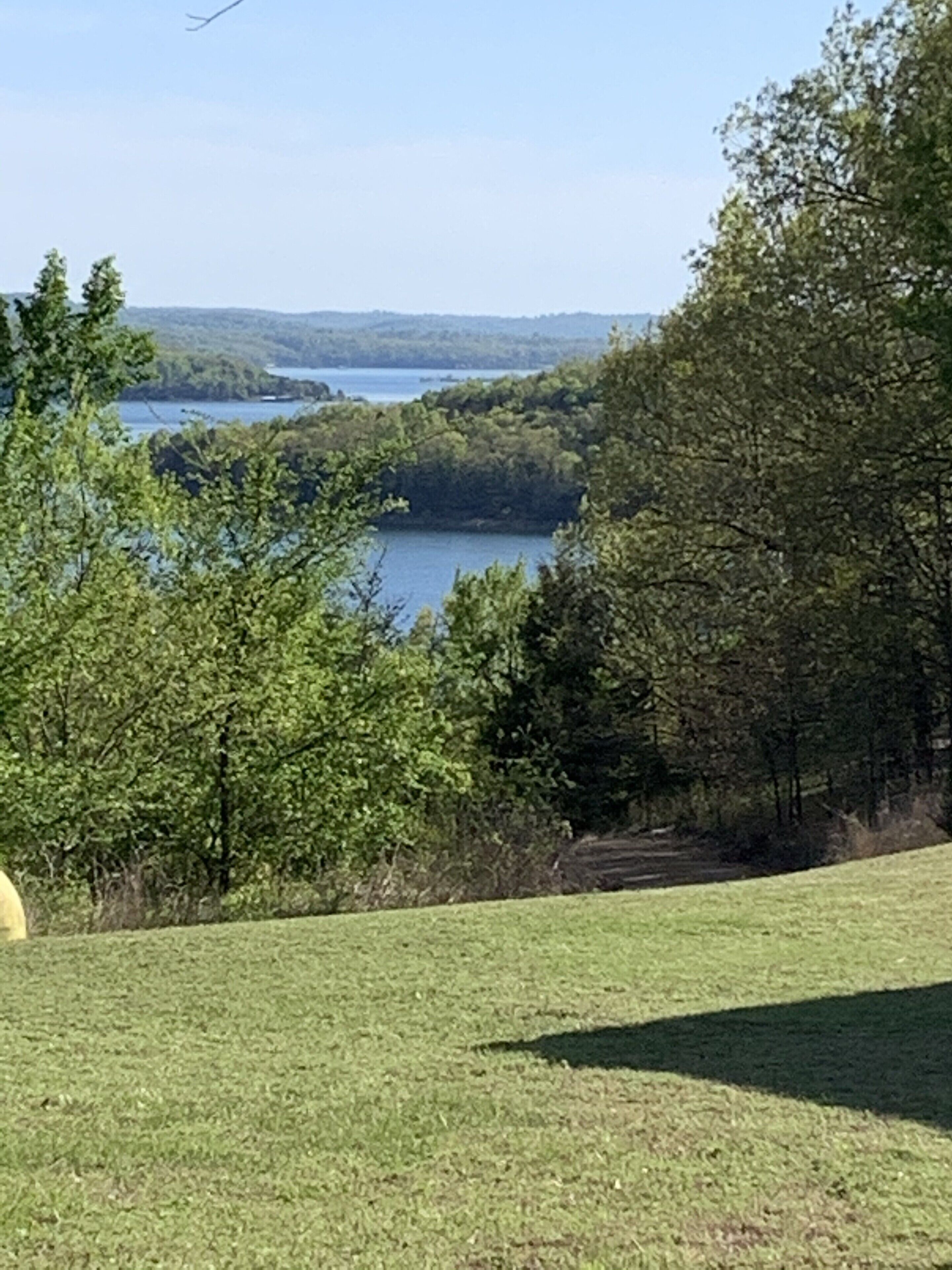 A grassy area with trees and a lake in the background.