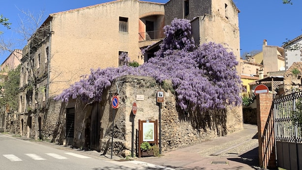 Un edificio histórico con fachada de piedra, una señal de alto y una señal de no estacionamiento.