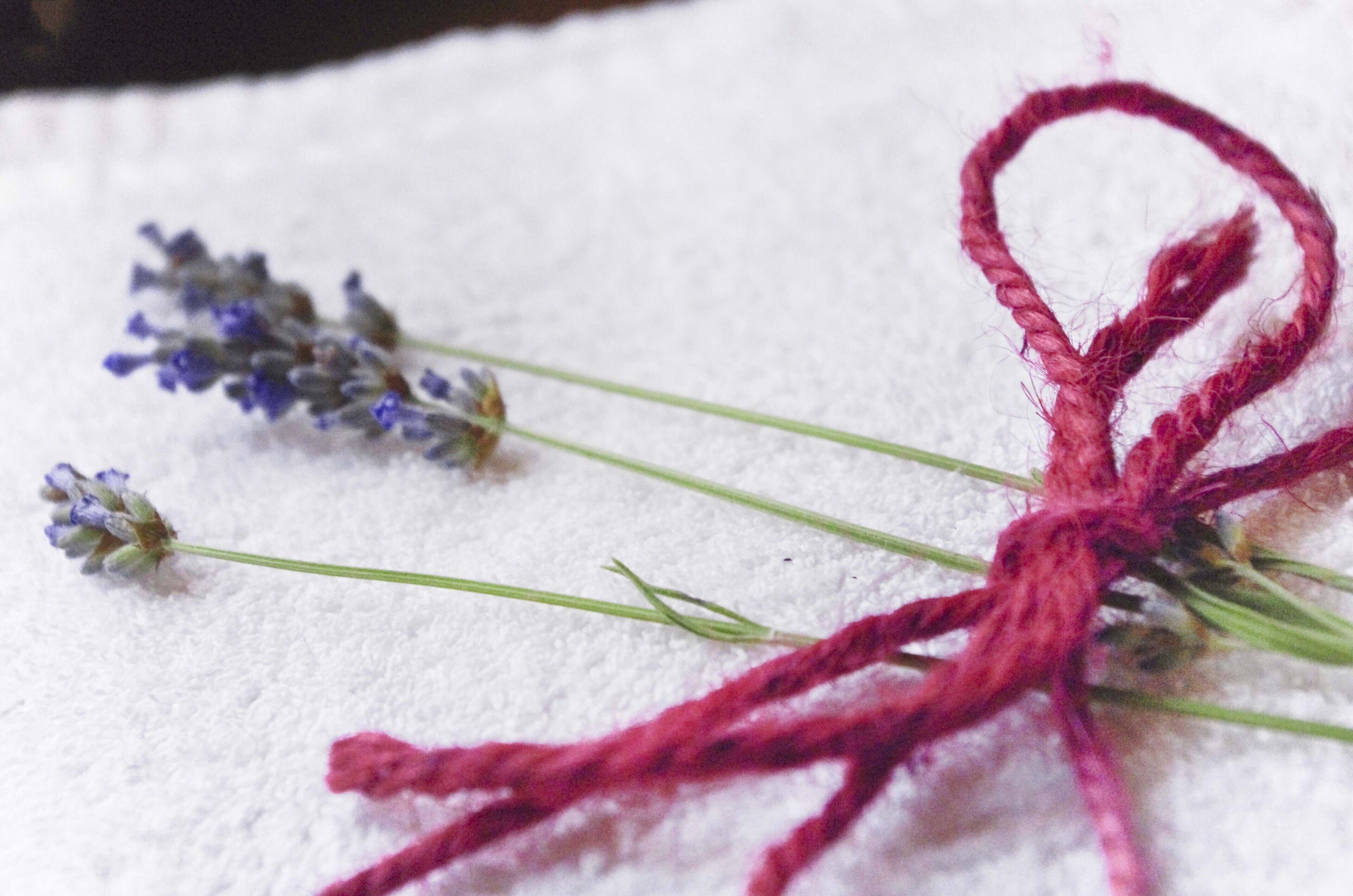 A close-up of a red string tied into a knot with lavender flowers.