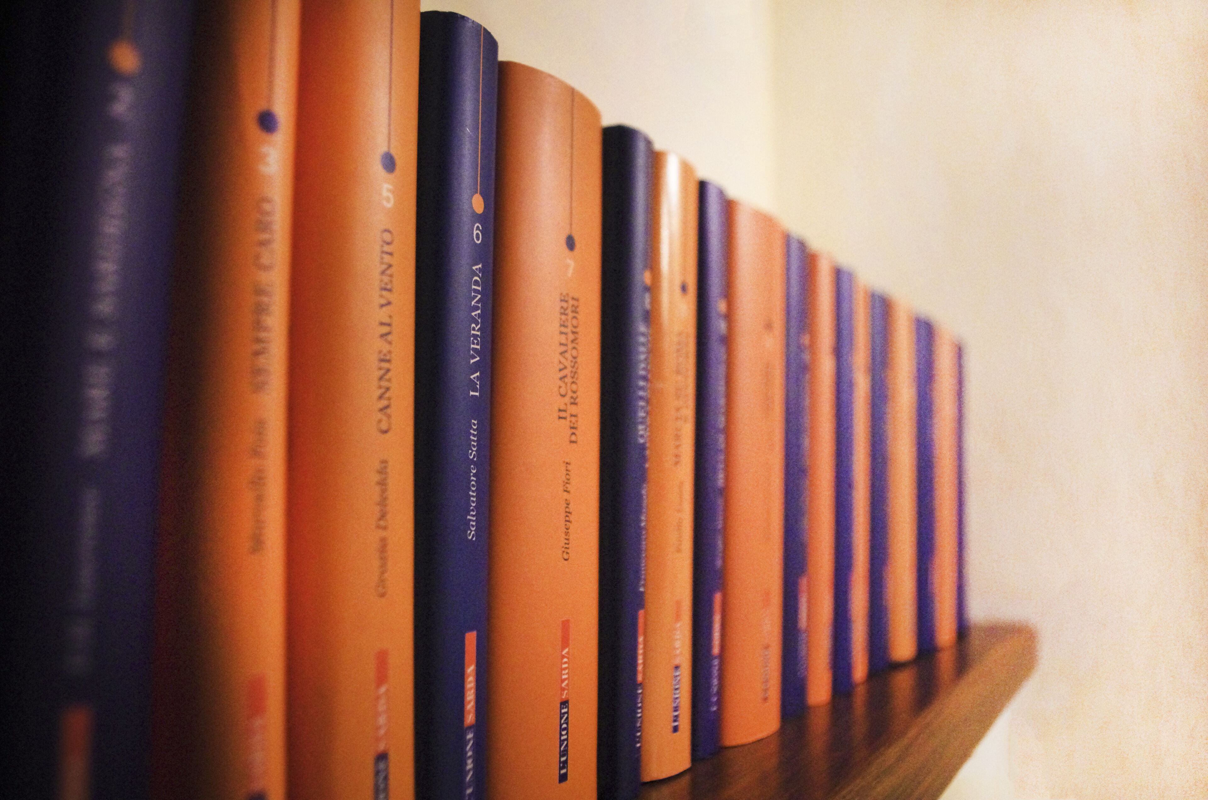 A row of books on a shelf.