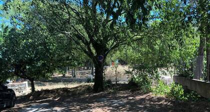 Pretty mazet in Nîmes in the heart of the garrigue