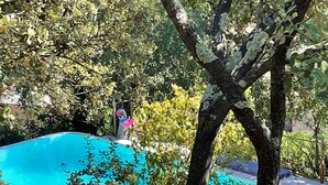 Una piscina envoltada d'arbres i vegetació.