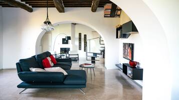 TV connectée, cheminée, jeux vidéo, lecteur de DVD