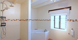 Combined shower/bathtub, hair dryer, bidet, soap