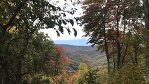 A forested area with a paved path leading to a viewpoint overlooking a valley.