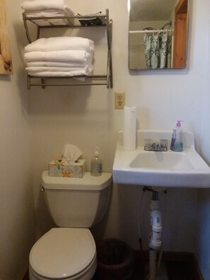 A standard bathroom with a toilet, sink, and mirror.