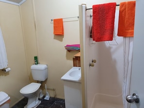 Dusj, hårføner, håndklær og såpe