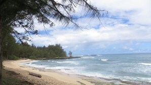 Ein Strand mit sandigem Ufer, Wellen, die aufschlagen, und bewaldeter Küste im Hintergrund.