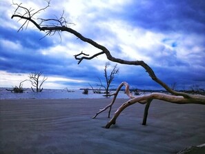 Beach nearby - Secluded retreat with private dock and fire pit. Only steps from the beach! (Fripp Island)