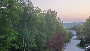 A grassy area with trees and a curved road. - Bright sunny B&B overlooking Bedford Basin (Bedford)