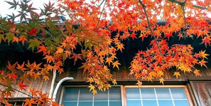 บริเวณภายนอก