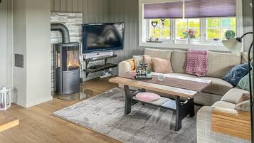 Televisio, takka, DVD-soitin