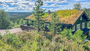 A house with a grass roof, surrounded by forest and a clear sky. - Amazing home in Rena with sauna (Rena)