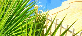 Roma Mid Town Motor Inn