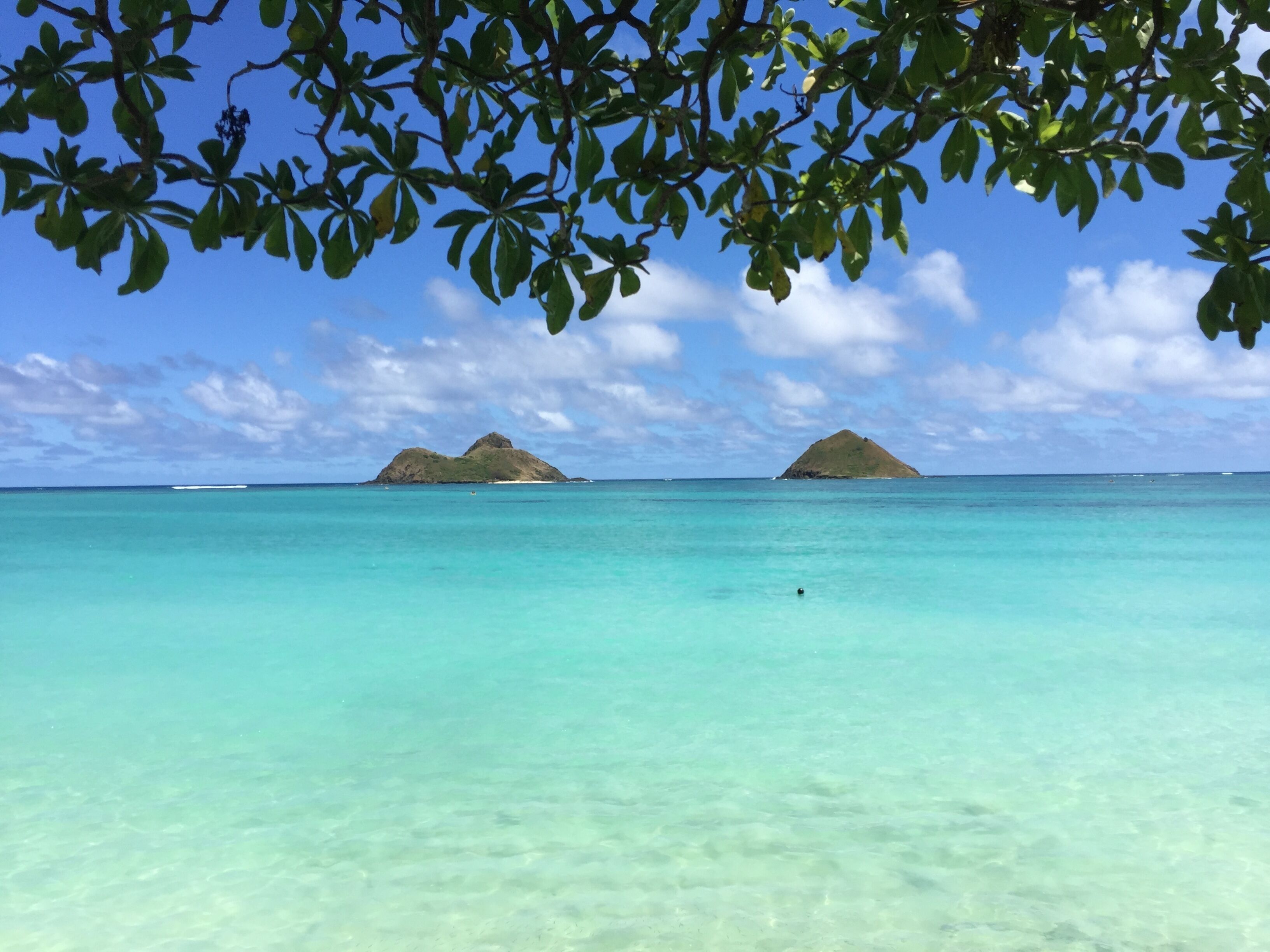 Kai Hale: 3 BR Oceanfront Lanikai Beach Estate