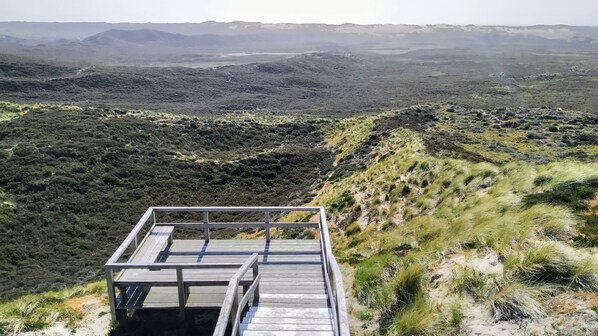 Eine Holzplattform mit Metallgeländer, die auf eine gebirgige Landschaft mit spärlicher Vegetation blickt.