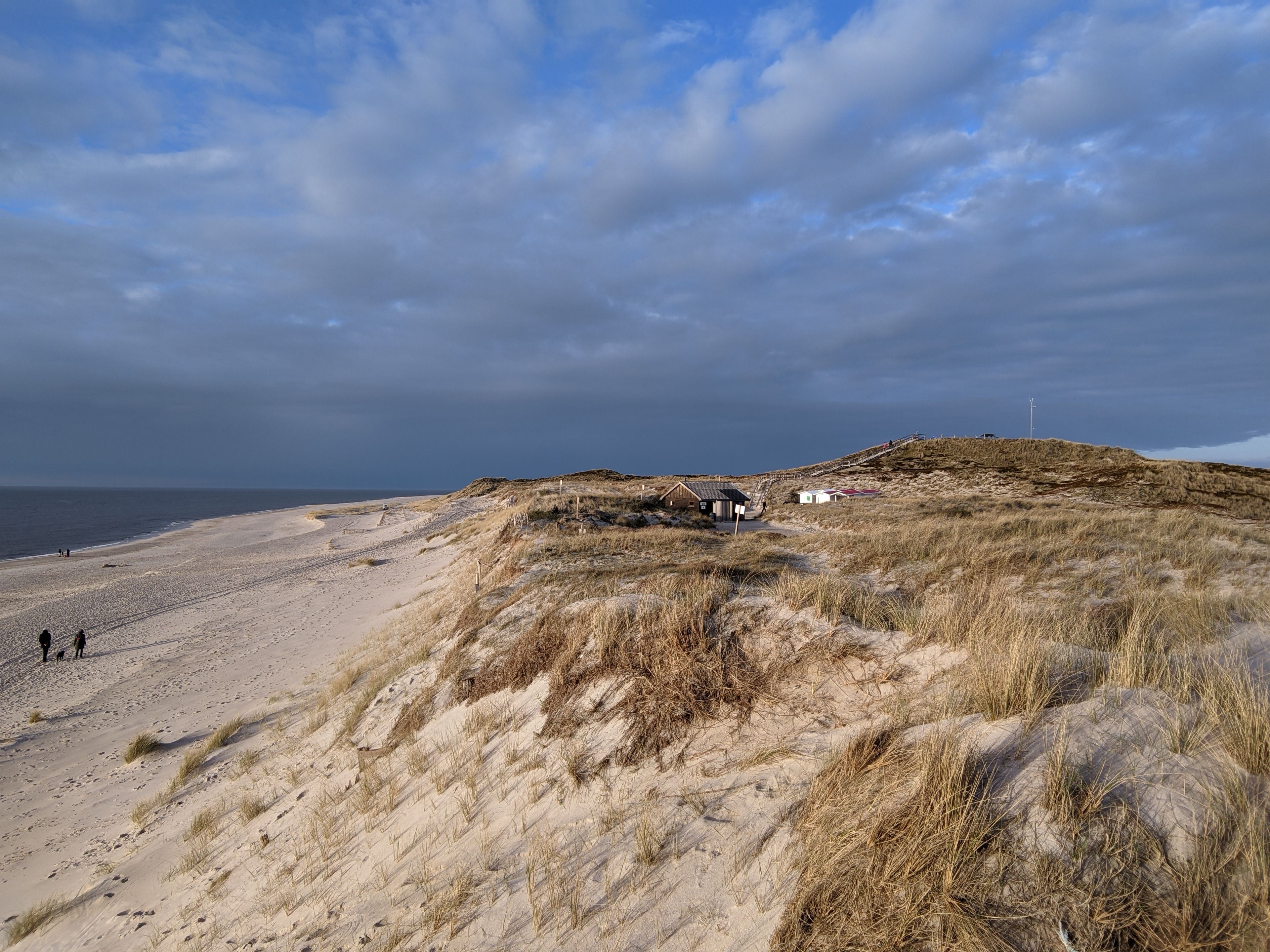 Ein Sandstrand mit Dünen und einem kleinen Gebäude.