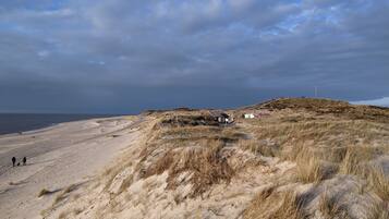 Ein Sandstrand mit Dünen und einem kleinen Gebäude.