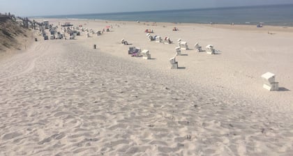 Lister Dünennest, Deutschland