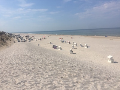 Lister Dünennest, Deutschland