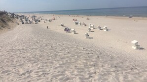 A wide sandy beach with numerous beach chairs and umbrellas.