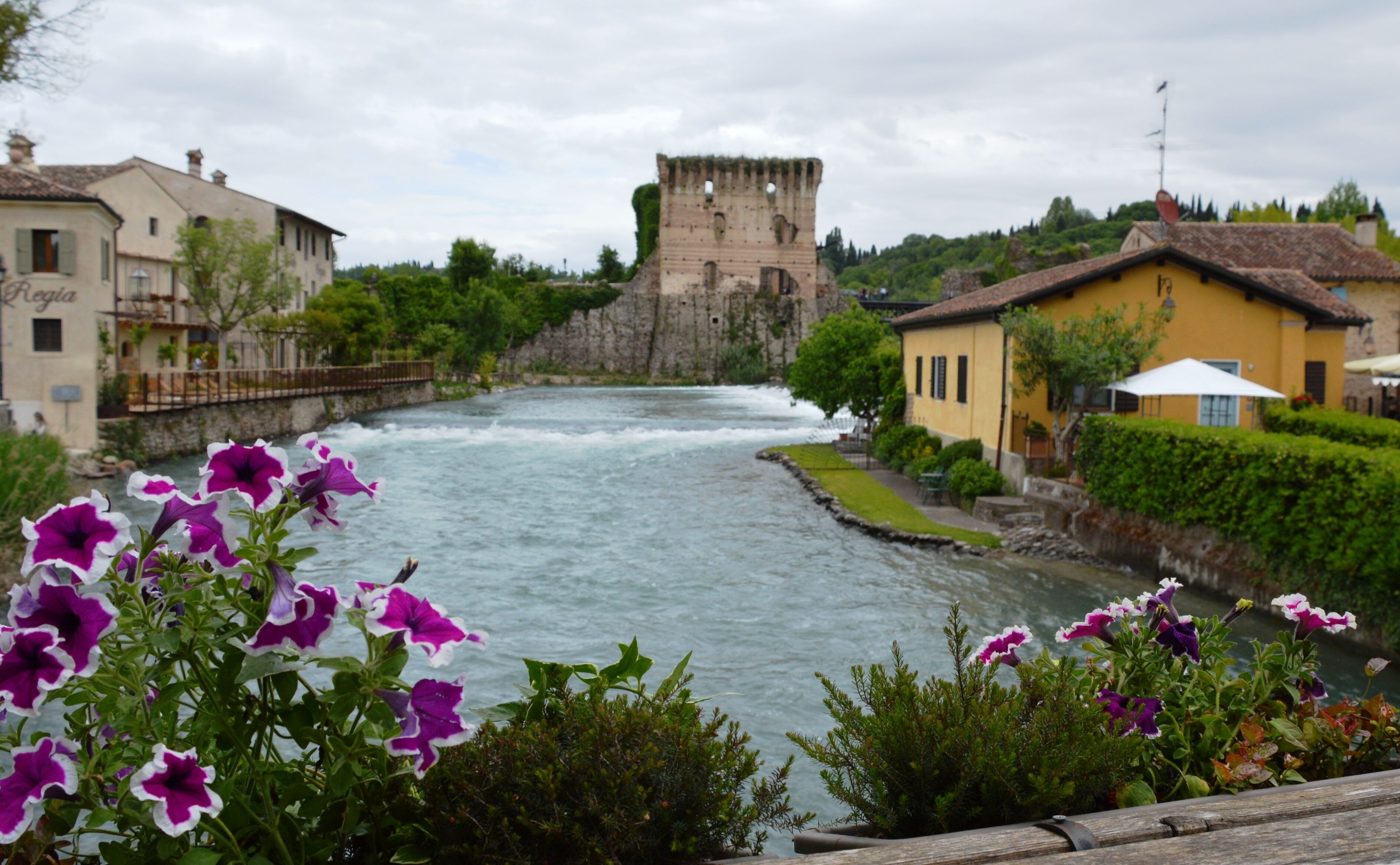 A river with a castle in the background, surrounded by buildings and greenery.