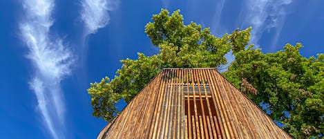 Exclusive Tree House