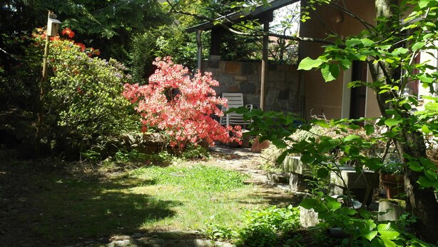 A garden with a stone pathway, a wooden pergola, and a variety of plants and flowers.