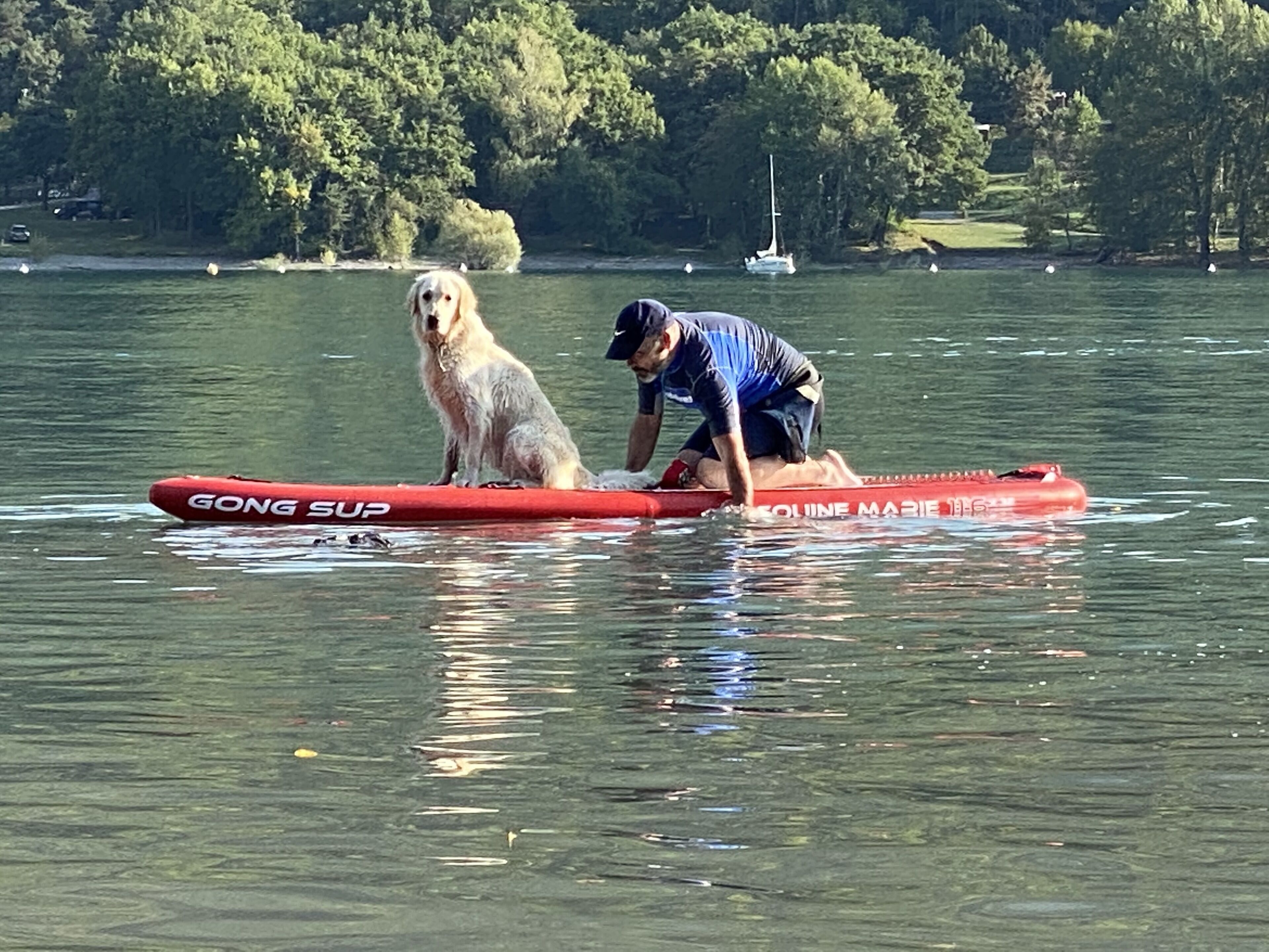 A person and a dog on a red watercraft with "GONG SUP" written on it, floating on a body of water with trees and a sailboat in the background.